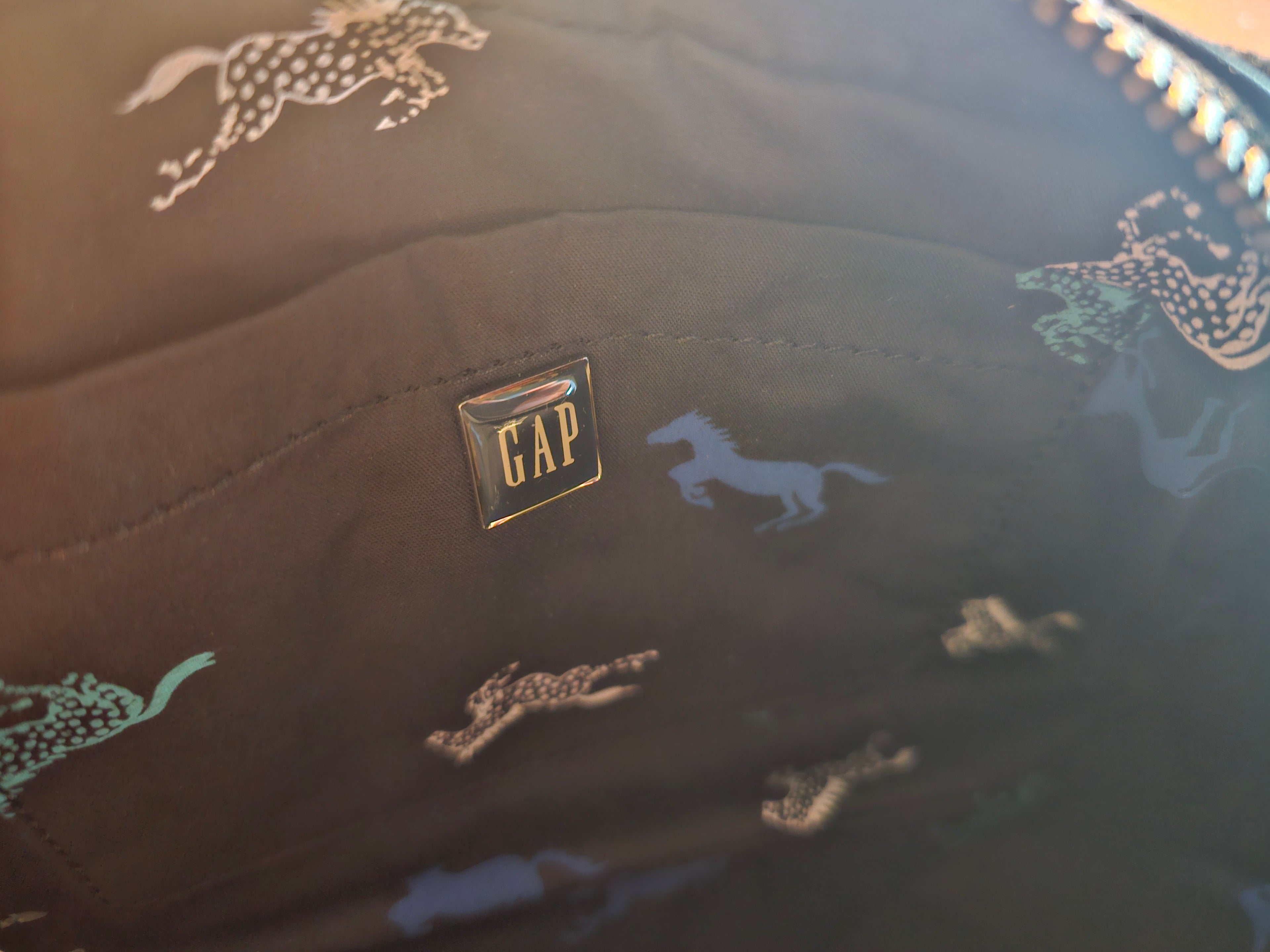 Gap Purse