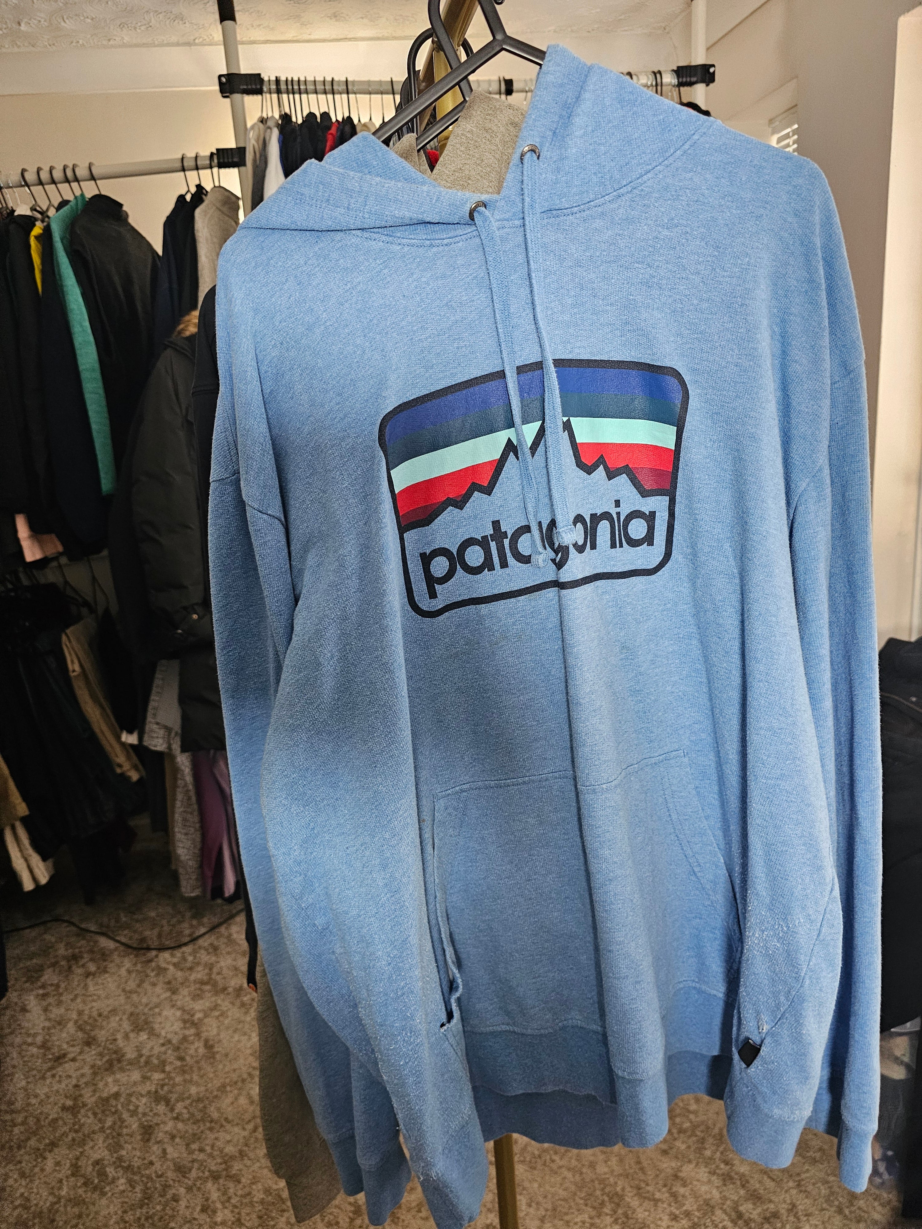 Patagonia Blue Hoodie Size Large Pre-loved