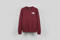 The North Face Sweatshirt Size Medium (BNWT)