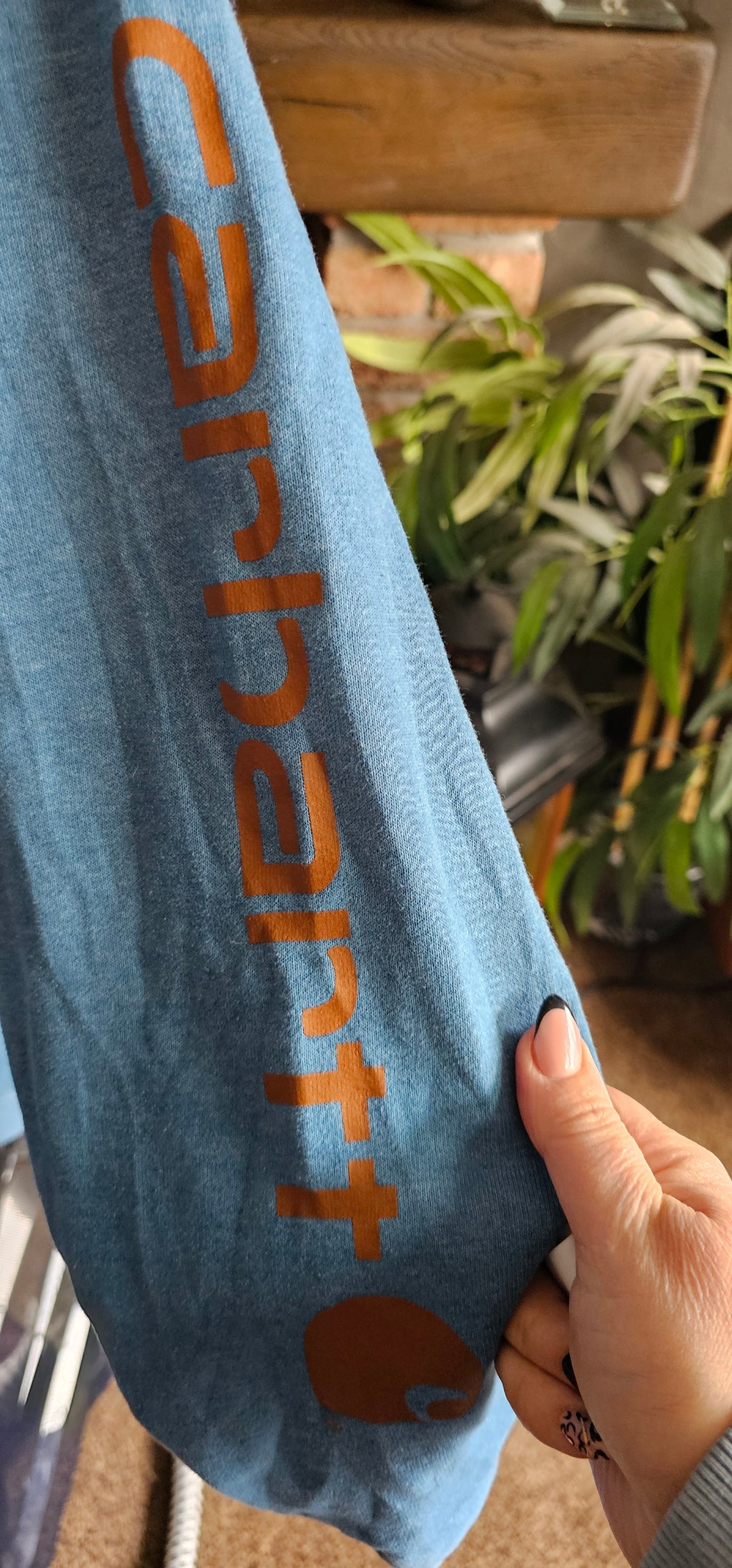 Carhartt Hoodie Size Small Pale Blue (Preowned)